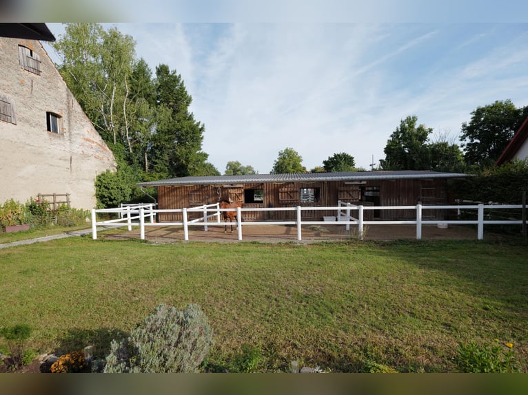 kleine Reitanlage mit laufendem Betrieb sucht neuen Inhaber