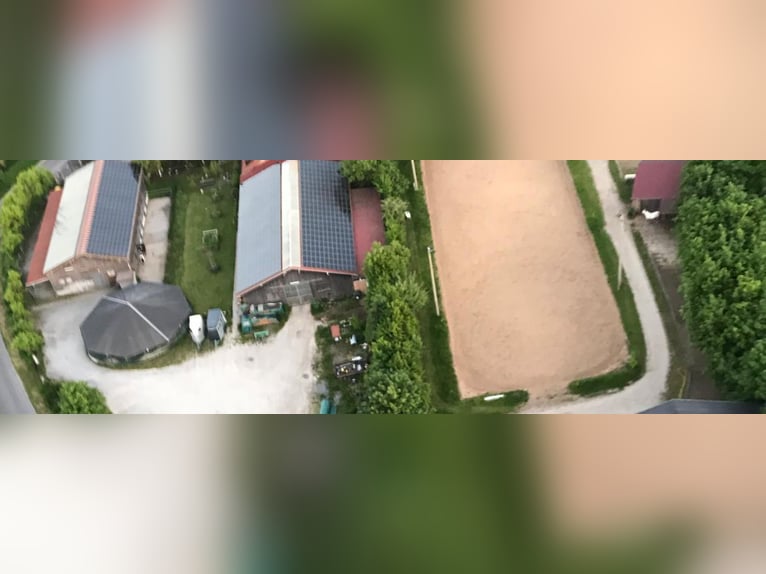 Kompletny staj dla koni: 15 boksów paddockowych + 8 miejsc w stajni otwartej + hala + plac do ujeżdż