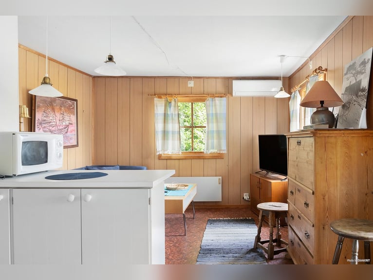 "Live the dream at the gateway to Österlen – equestrian estate, deer enclosure, river..