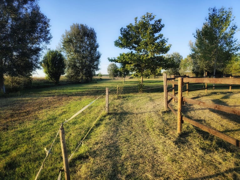 Lovely Equestrian property in Italy  