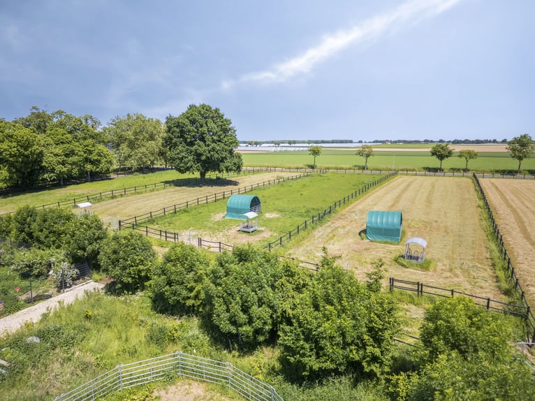 Luksus, natura i miłośnicy koni. Witamy na Gut Wammen!