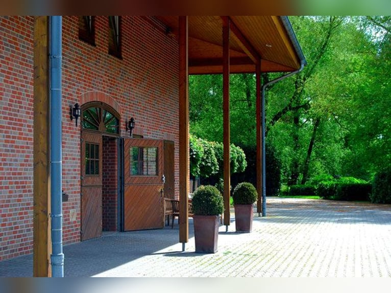 Luksusowy kompleks jeździecki z dużą ilością przestrzeni mieszkalnej i komfortem