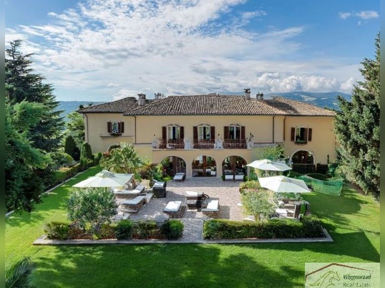 **Luxuriöses Pferdeanwesen in bester Lage** - Schweiz