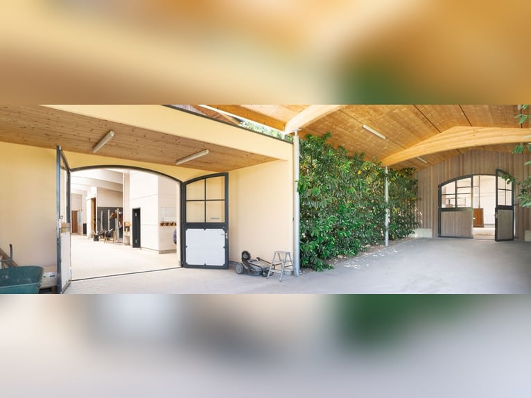 **Luxuriöses Pferdeanwesen in bester Lage** - Schweiz