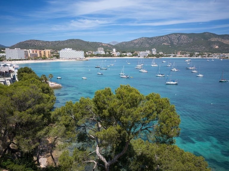 MALLORCA: Apartment in erster Meereslinie mit Bootsgarage