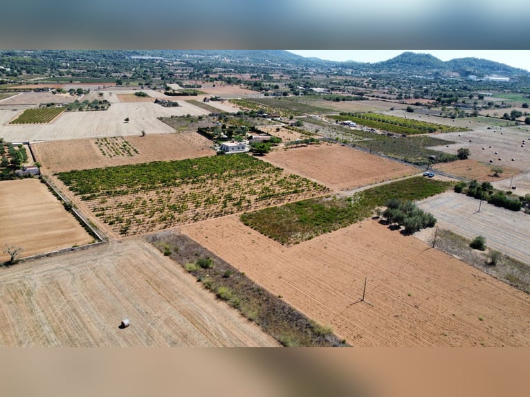 MALLORCA Felanitx: Baugrundstück mit Baulizenz und Blick auf den Sant Salvador