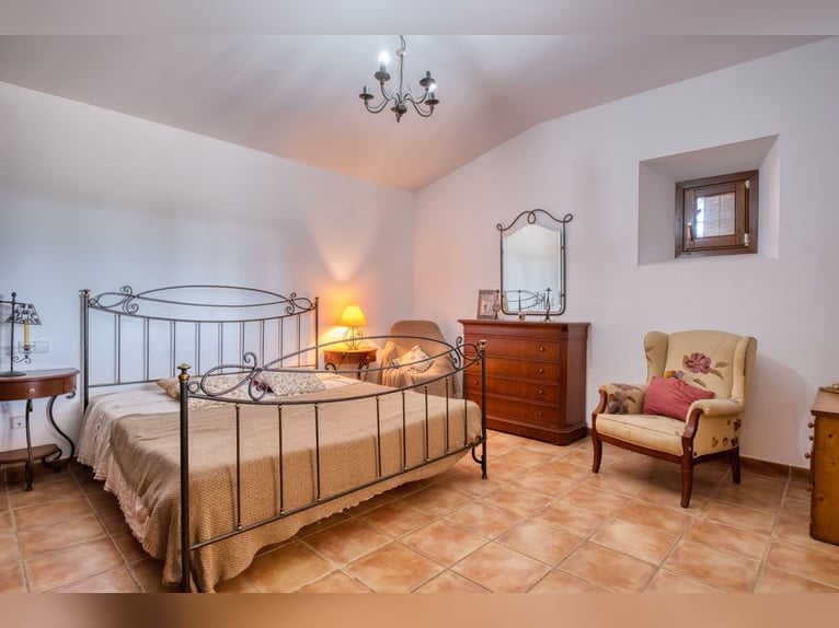 Mallorca: Finca mit Stallungen auf 15 Hektar Land und Ferienvermietlizenz