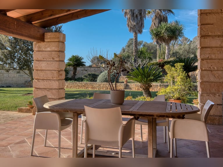 Mallorca: Finca mit Stallungen auf 15 Hektar Land und Ferienvermietlizenz