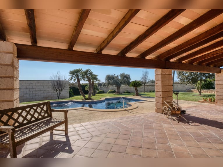 Mallorca: Finca mit Stallungen auf 15 Hektar Land und Ferienvermietlizenz