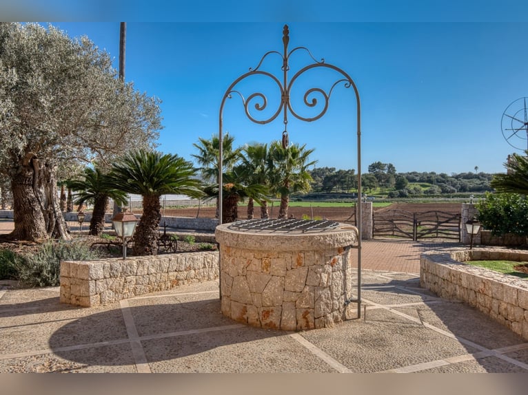 Mallorca: Finca mit Stallungen auf 15 Hektar Land und Ferienvermietlizenz