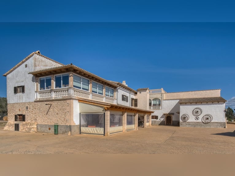 Mallorca: Große Finca auf 4,8 Hektar Land mit Stallungen
