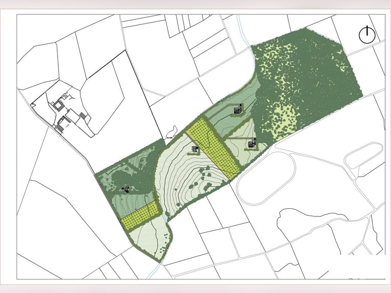 Mallorca: Schlüsselfertige Finca mit ca. 10 Hektar Land zur Pferdehaltung