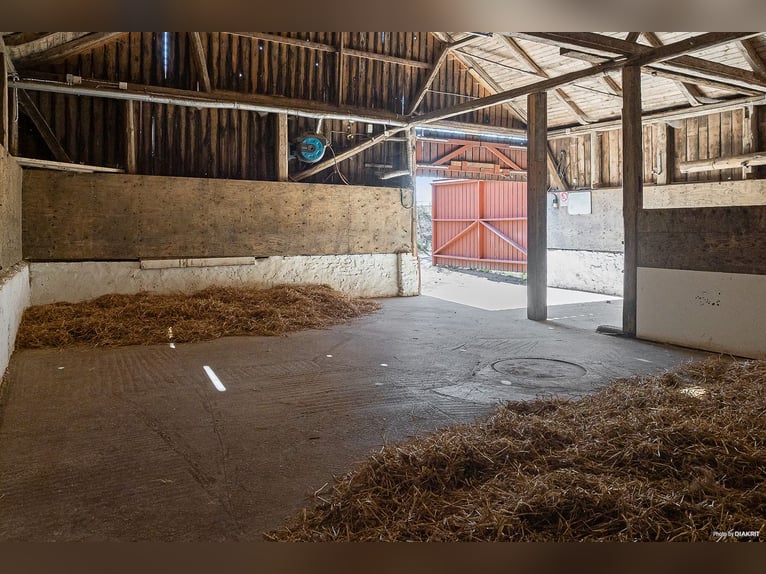 Modern Home and Stables in Scenic Landskrona