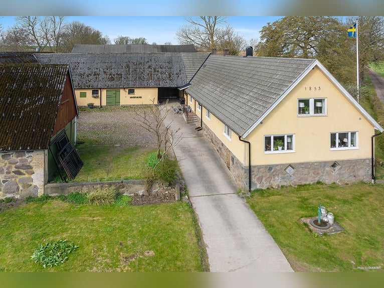 Modern Home and Stables in Scenic Landskrona