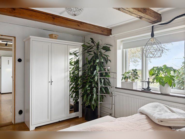 Modern Home and Stables in Scenic Landskrona
