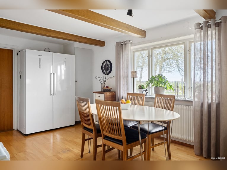 Modern Home and Stables in Scenic Landskrona