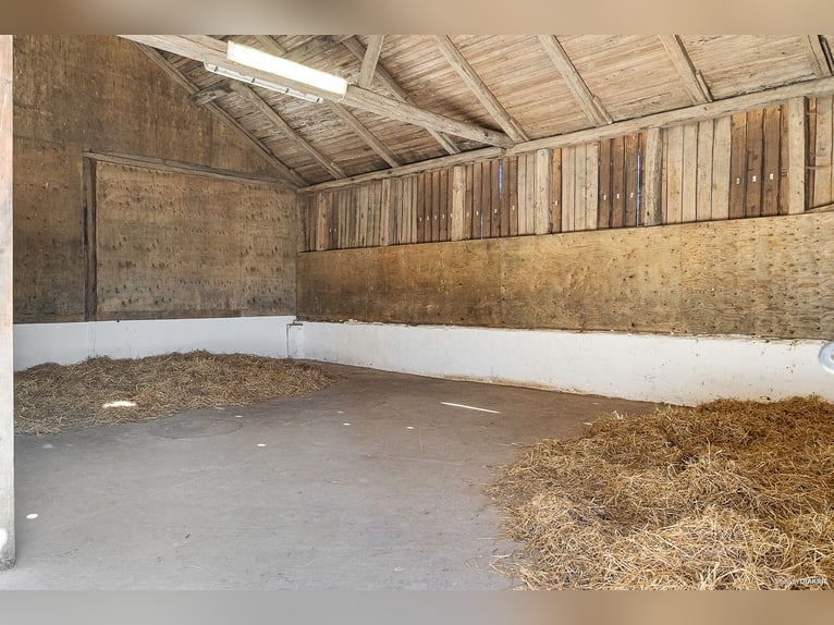 Modern Home and Stables in Scenic Landskrona