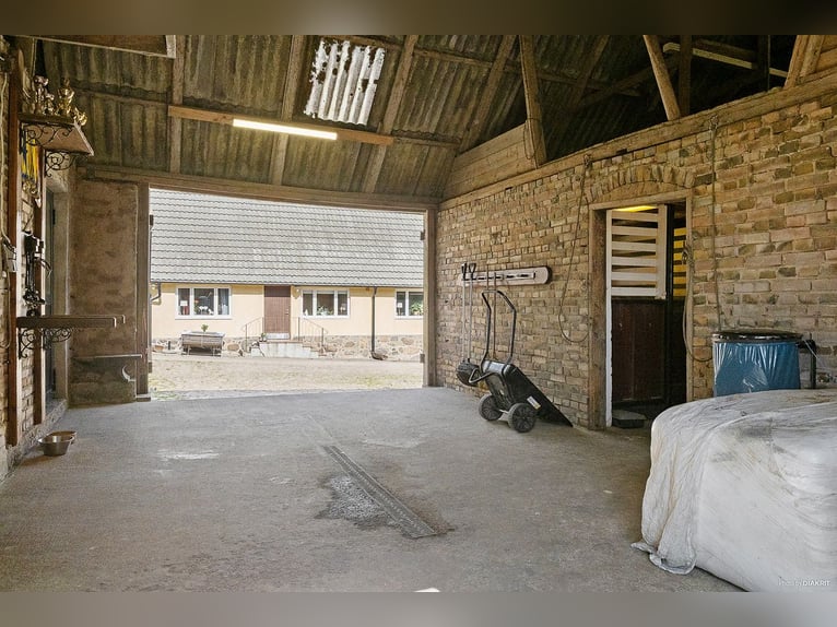 Modern Home and Stables in Scenic Landskrona
