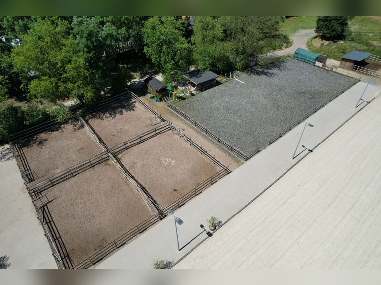 Moderne und rentable Reitanlage im Einzugsgebiet Bonn/Köln mit hochwertigem Wohnhaus