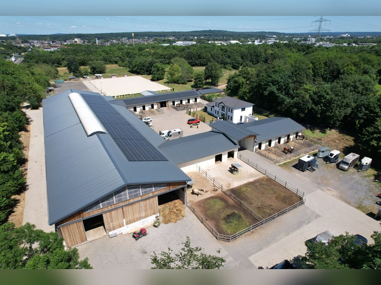 Moderne und rentable Reitanlage im Einzugsgebiet Bonn/Köln mit hochwertigem Wohnhaus