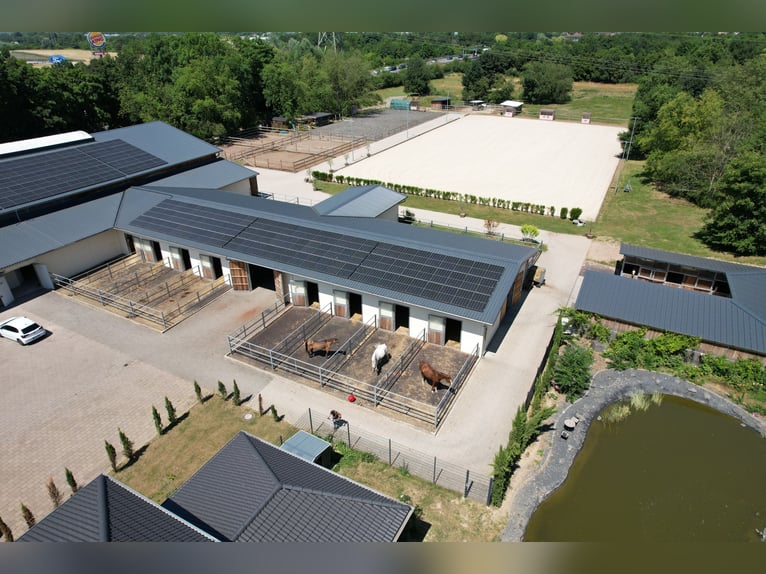 Moderne und rentable Reitanlage im Einzugsgebiet Bonn/Köln mit hochwertigem Wohnhaus