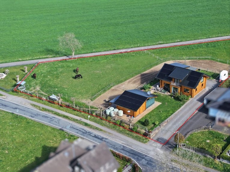 Modernes Holzblockhaus mit Offenstall in schöner Aussichtslage