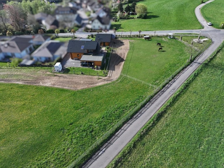 Modernes Holzblockhaus mit Offenstall in schöner Aussichtslage