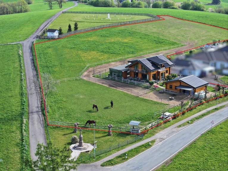 Modernes Holzblockhaus mit Offenstall in schöner Aussichtslage