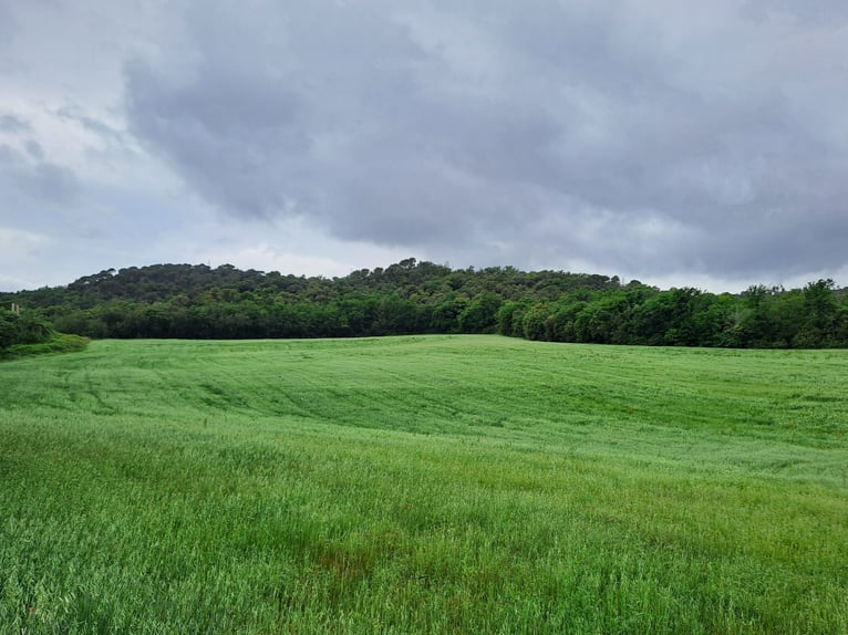 Nieruchomość jeździecka w Girona-Costa Brava, wiele możliwości