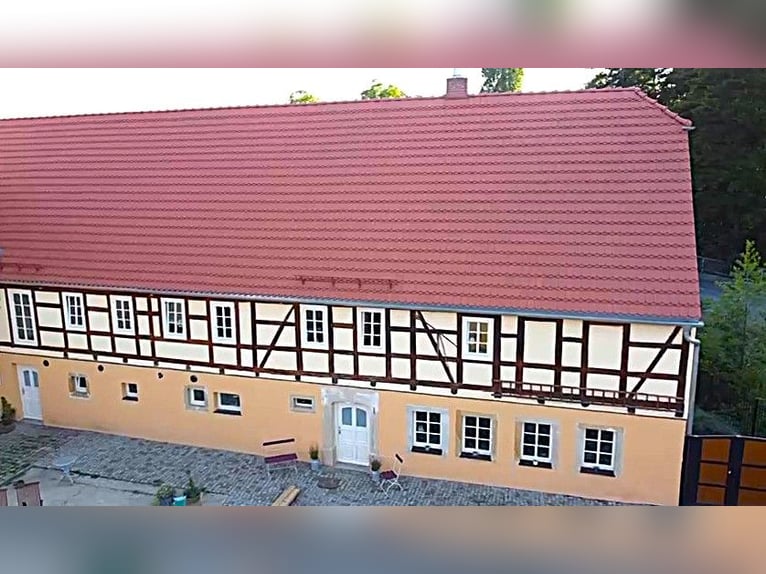 Niezwykła, chroniona prawem historycznym posiadłość dla indywidualistów. Idealna do hodowli koni.