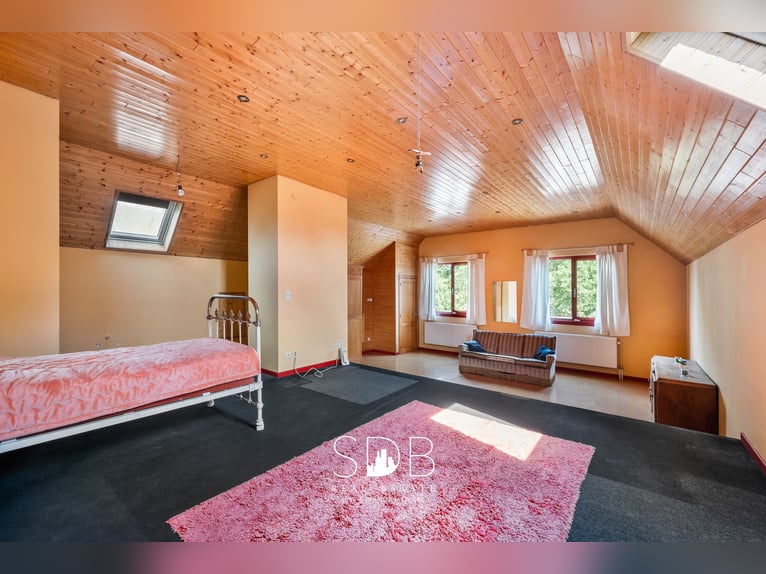 Nowoczesna willa z ogrodem rodzinnym i pastwiskami na 7 496 m² w Heusden | Belgia