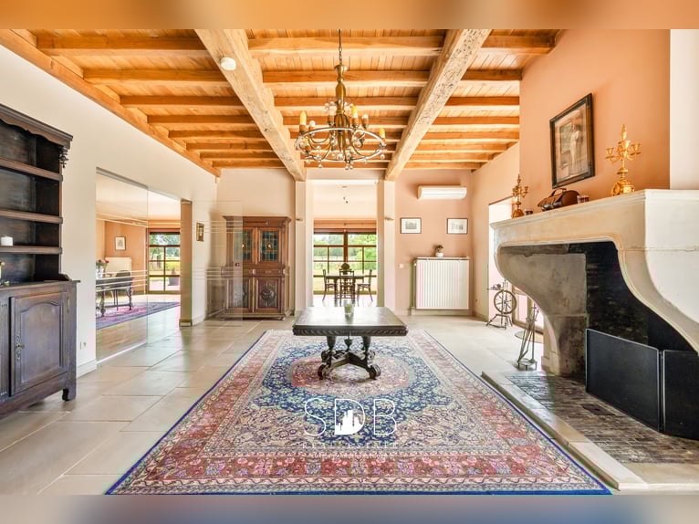 Nowoczesna willa z ogrodem rodzinnym i pastwiskami na 7 496 m² w Heusden | Belgia