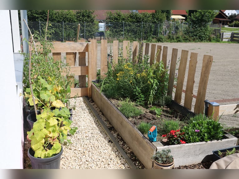 Nowoczesny dom jednorodzinny w stanie deweloperskim z dwoma i pół mieszkaniami *możliwość hodowli ko