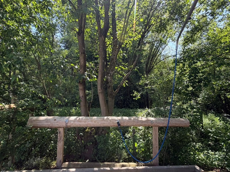 Nowoczesny dom z stadniną i stajnią – zamieszkanie z końmi