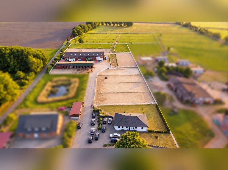 Nowoczesny ośrodek jeździecki na 3,4 ha – hala jeździecka, 13 boksów, komora solna i 2 place do jazd