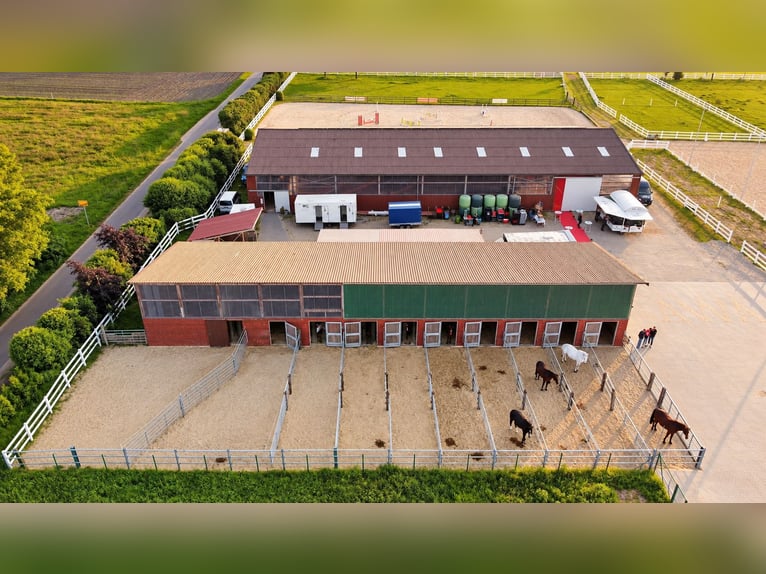 Nowoczesny ośrodek jeździecki na 3,4 ha – hala jeździecka, 13 boksów, komora solna i 2 place do jazd