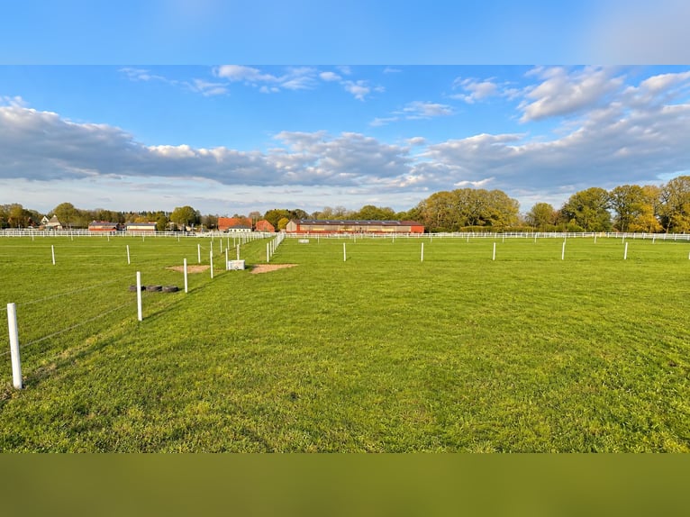 Nowoczesny ośrodek jeździecki na 3,4 ha – hala jeździecka, 13 boksów, komora solna i 2 place do jazd