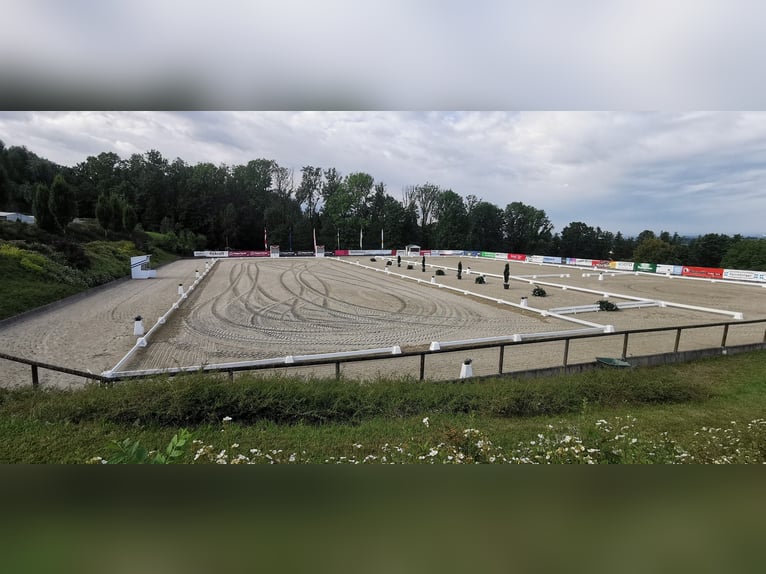 Off-Market Reitanlagen in Niedersachsen