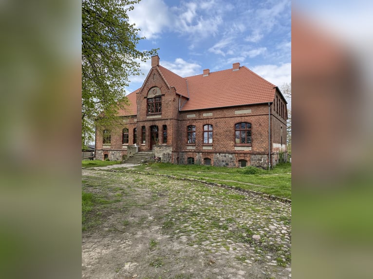 OPEN HOUSE am 28.9.: Gutshaus Scharpzow mit 2,2 ha und zusätzlichen Pachtflächen steht zum Verkauf