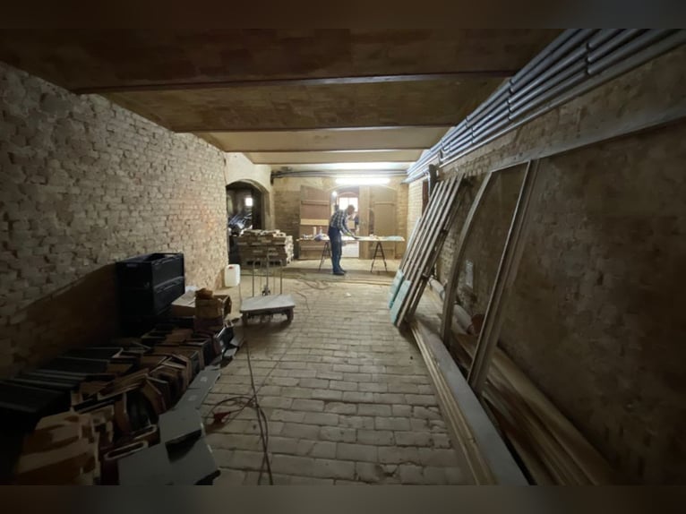 OPEN HOUSE am 28.9.: Gutshaus Scharpzow mit 2,2 ha und zusätzlichen Pachtflächen steht zum Verkauf
