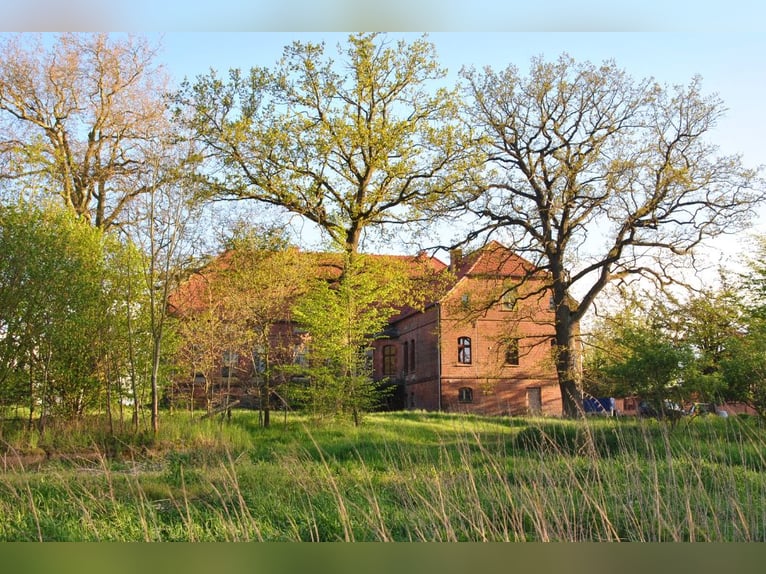 OPEN HOUSE am 28.9.: Gutshaus Scharpzow mit 2,2 ha und zusätzlichen Pachtflächen steht zum Verkauf