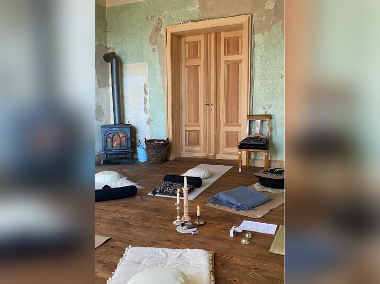 OPEN HOUSE am 28.9.: Gutshaus Scharpzow mit 2,2 ha und zusätzlichen Pachtflächen steht zum Verkauf