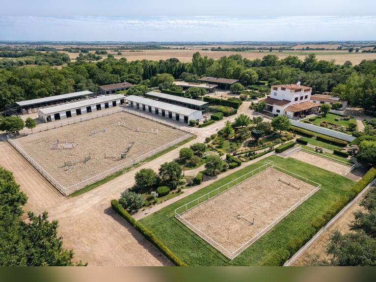 Ośrodek jeździecki w Castellónie // Centrum jeździeckie w Castellón Sur