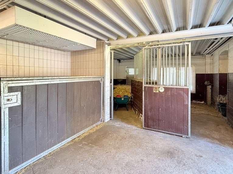 Paradies für Pferdeliebhaber: Reetdachanwesen auf ca. 3,38 ha großen Grundstück mit Nebengebäuden
