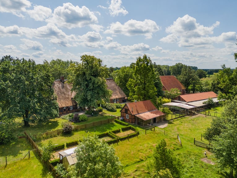 Pferdehof und exklusives Anwesen 70 km südöstlich von Hamburg mit optional 30 ha Eigenland