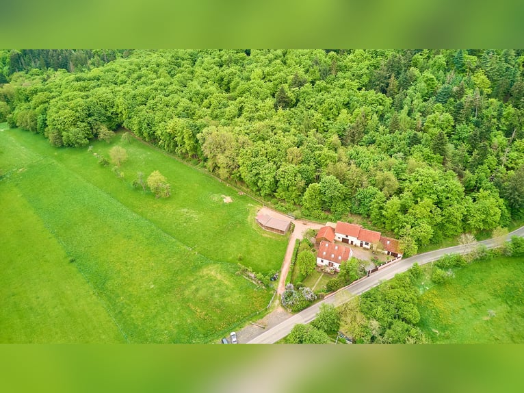 Pferdeimmobilie im Donnersbergkreis – Charmantes Hofensemble mit privater Pferdehaltung 