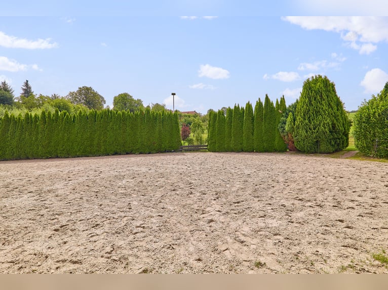 Pferdeimmobilie im Odenwald – Leben und Arbeiten in ländlicher Idylle von Erbach!