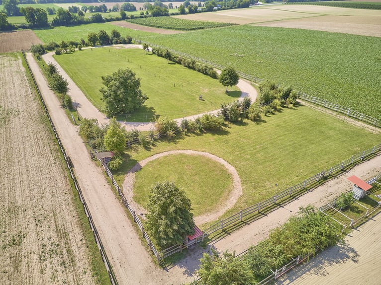Pferdeimmobilie in Worms mit großem Mehrfamilienhaus und eigener Ovalbahn zu verkaufen!