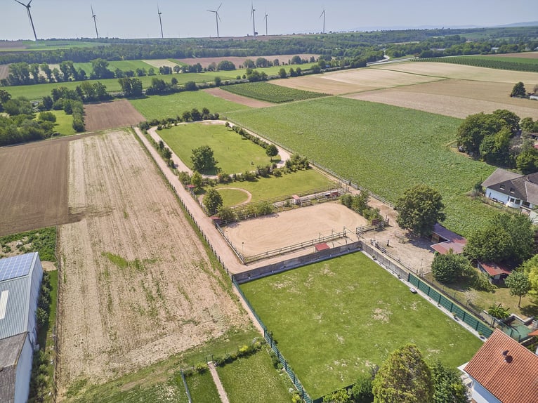 Pferdeimmobilie in Worms mit großem Mehrfamilienhaus und eigener Ovalbahn zu verkaufen!