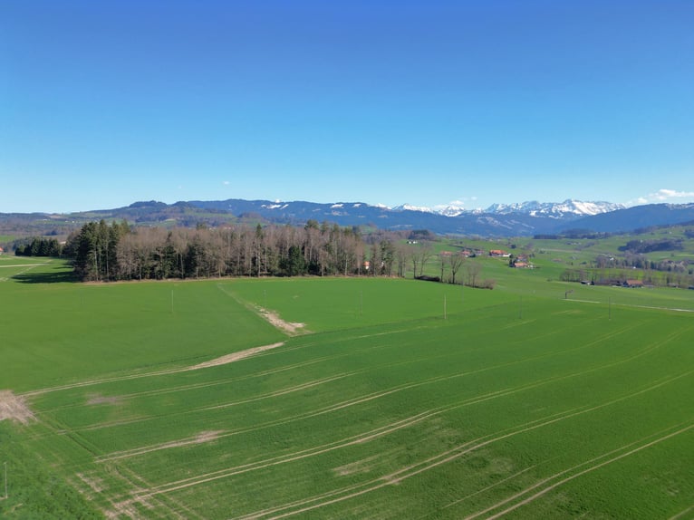Pferderanch in Alterswil, Kanton Freiburg, Schweiz
